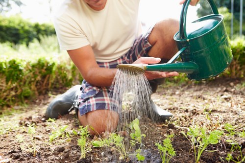 Professionals mowing a well-maintained lawn in Honor Oak