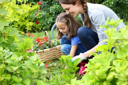 Healthy and beautifully trimmed hedges in a residential garden
