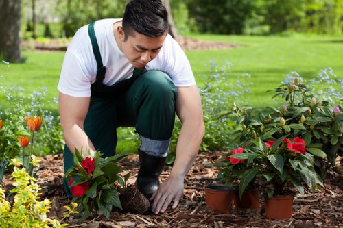 Choosing the right landscaping service in Honor Oak for garden transformation
