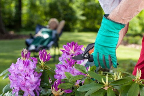Close-up of a lawn mower trimming grass in a residential area