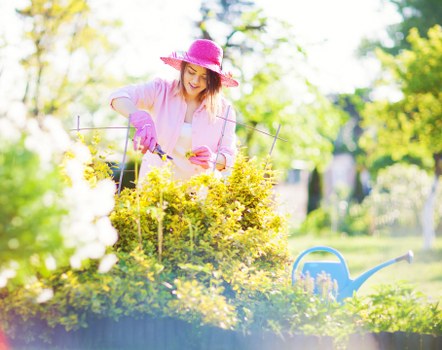 Safe tree pruning practices