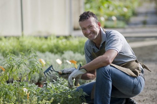 Eco-friendly lawn mowing practices with battery-powered mower