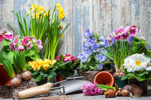Maintaining a sustainable garden with water conservation practices