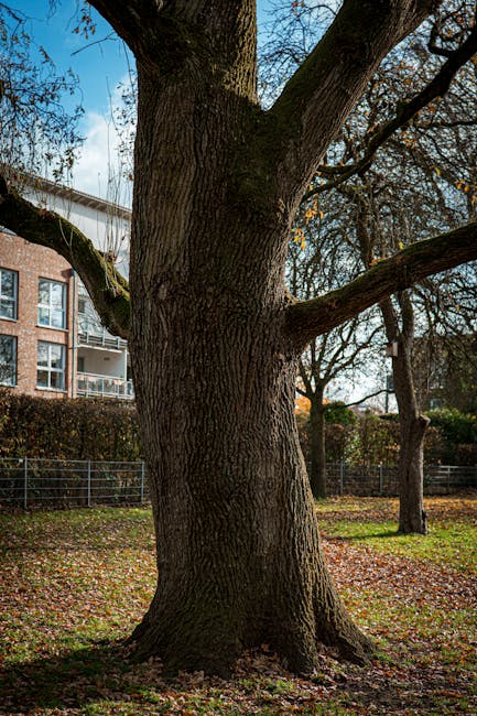 A large mature tree with a thick, textured trunk and sprawling branches extends over a well-maintained urban garden. The ground beneath the tree features fallen leaves and patches of grass, while the