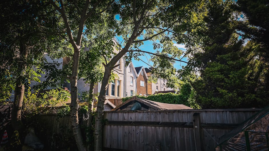 A large mature tree with a thick, textured trunk and sprawling branches extends over a well-maintained urban garden. The ground beneath the tree features fallen leaves and patches of grass, while the